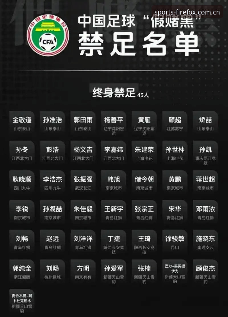 看懂足协禁足名单的实用指南——从处罚细节看中国足球的自我净化